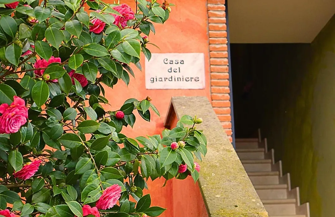 Poggio dei cavalieri-1